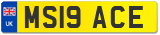 MS19 ACE