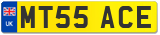 MT55 ACE