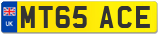 MT65 ACE