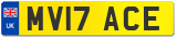 MV17 ACE