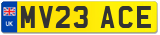 MV23 ACE