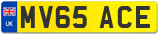 MV65 ACE