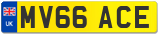 MV66 ACE