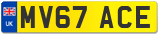 MV67 ACE