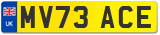 MV73 ACE