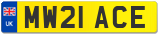 MW21 ACE