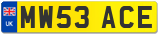 MW53 ACE