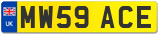 MW59 ACE