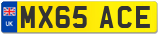 MX65 ACE