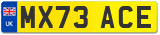 MX73 ACE