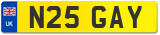 N25 GAY
