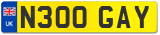 N300 GAY