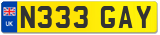 N333 GAY