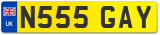 N555 GAY