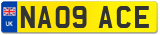 NA09 ACE