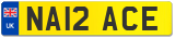 NA12 ACE