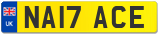 NA17 ACE