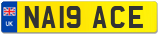 NA19 ACE