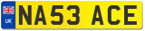 NA53 ACE