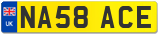 NA58 ACE