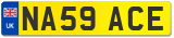 NA59 ACE