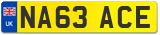 NA63 ACE