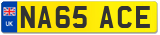 NA65 ACE