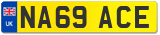 NA69 ACE