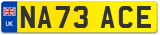 NA73 ACE