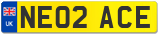 NE02 ACE