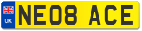 NE08 ACE