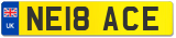 NE18 ACE