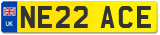 NE22 ACE