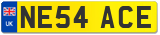 NE54 ACE