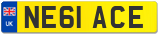 NE61 ACE
