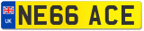 NE66 ACE