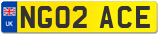 NG02 ACE
