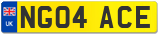 NG04 ACE