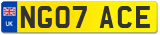 NG07 ACE