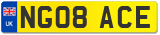 NG08 ACE