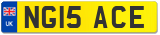NG15 ACE