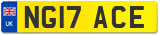 NG17 ACE