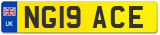 NG19 ACE