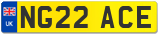NG22 ACE