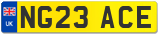 NG23 ACE