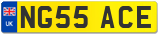 NG55 ACE