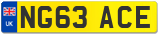 NG63 ACE