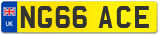 NG66 ACE