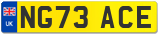 NG73 ACE