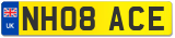 NH08 ACE